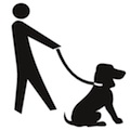 Endlich ein koordiniertes Sporttraining mit Sportgassi für Hundefreunde